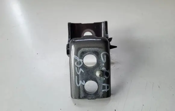 Citroen DS3 Rear door lower hinge