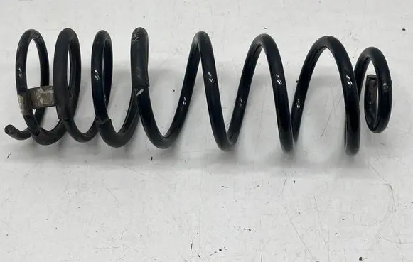 Rear coil spring