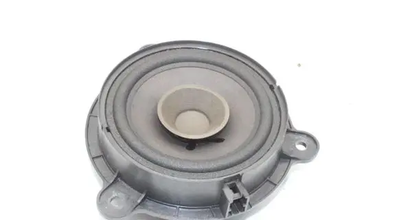 Renault Zoe Rear door speaker