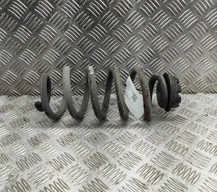 Nissan Qashqai Rear coil spring 550204EA5B