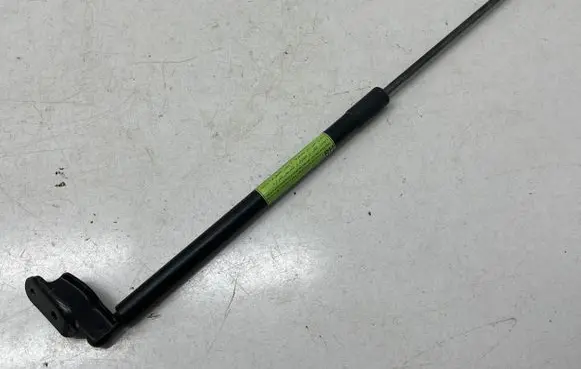 Tailgate/trunk strut/damper