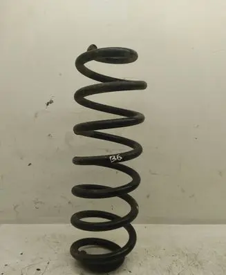 Volkswagen PASSAT B6 Rear coil spring