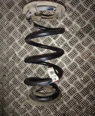 Tesla Model 3 Rear coil spring 104447201E