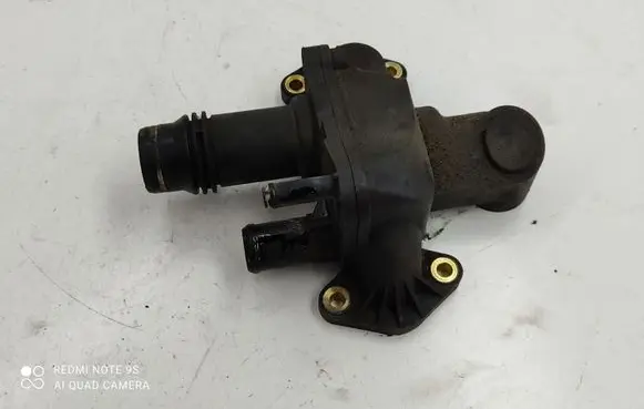 Thermostat/thermostat housing