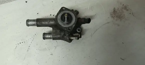 Thermostat/thermostat housing