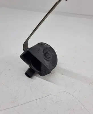 BMW X6 E71 Horn signal