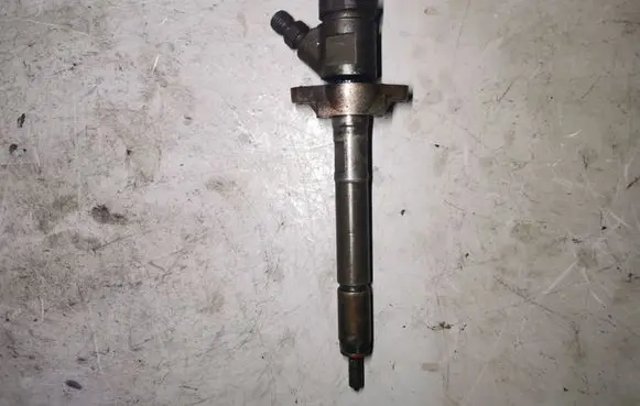 Citroen C3 Fuel injector 0445110311 620033