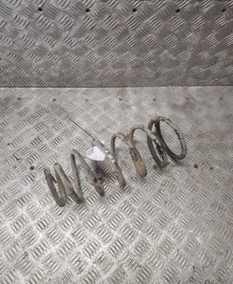 Rear coil spring