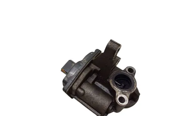 EGR valve