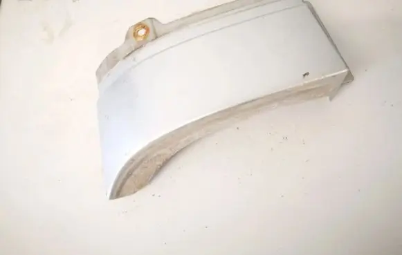 Rear/tail light trim molding