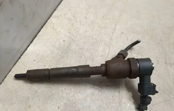 Citroen C4 I Fuel injector 0445110183