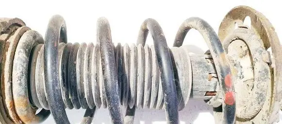 Front coil spring