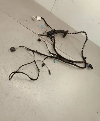 BMW X1 F48 F49 Front door wiring loom 879755101