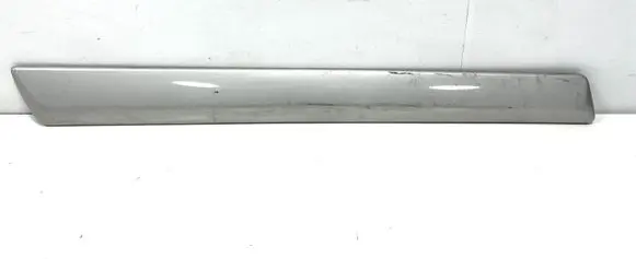 Rear door trim (molding)