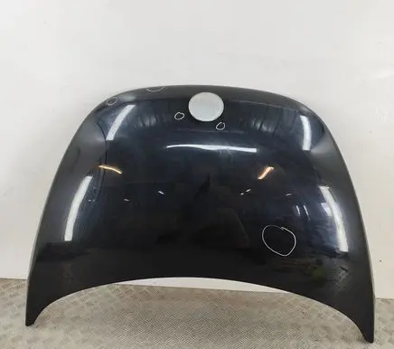Volkswagen New Beetle Engine bonnet/hood 1C0823031M