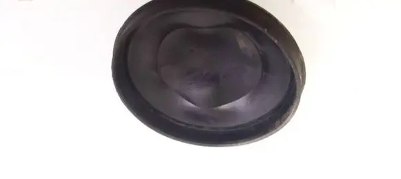 Headlight/headlamp dust cover