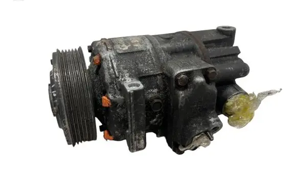 Volkswagen Golf V Air conditioning (A/C) compressor (pump) E10R8675 8675S17R