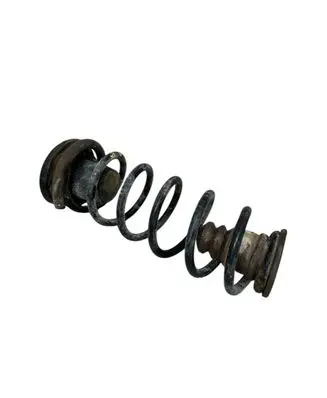 Rear coil spring