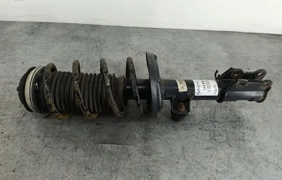Opel Corsa D Front shock absorber/damper 313568
