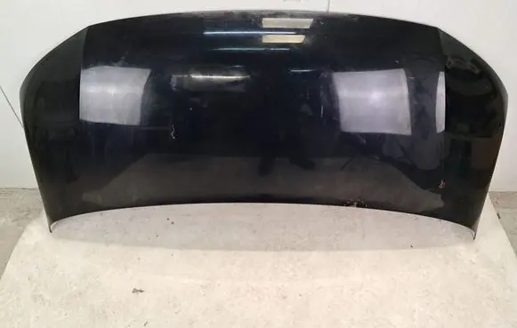 Volkswagen Transporter - Caravelle T6 Engine bonnet/hood 