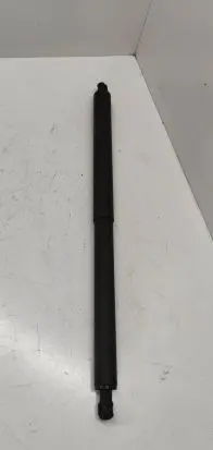 Tailgate/trunk strut/damper
