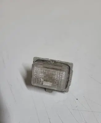 Number plate light