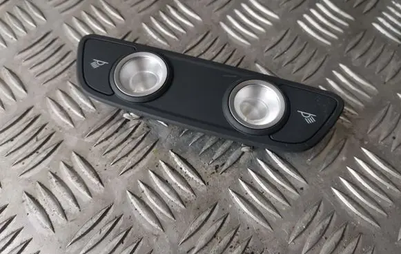Rear seat light