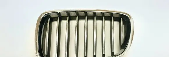 BMW 5 GT F07 Front grill 51137200167