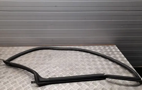 Tesla Model S Rear door rubber seal (on body) 2K291205