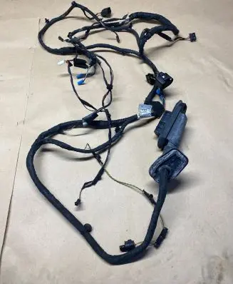 BMW 5 F10 F11 Front door wiring loom 9256002 5775352