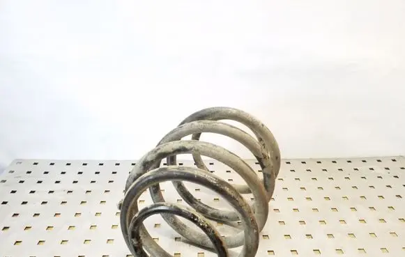 Rear coil spring