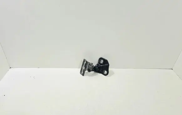 Rear door lower hinge