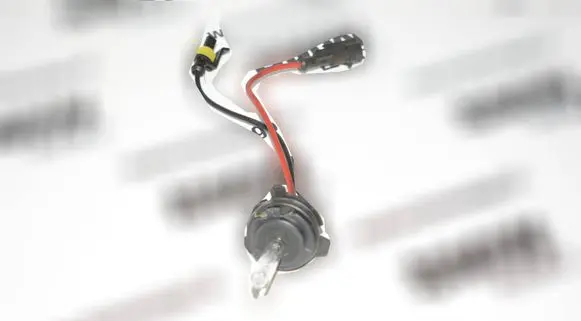 BMW 5 E39 Xenon bulb 