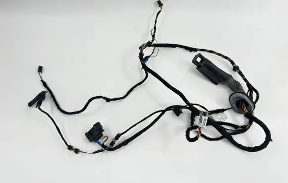 BMW 1 F20 F21 Front door wiring loom 19344411