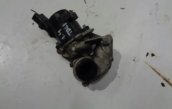 Ford Fiesta EGR valve