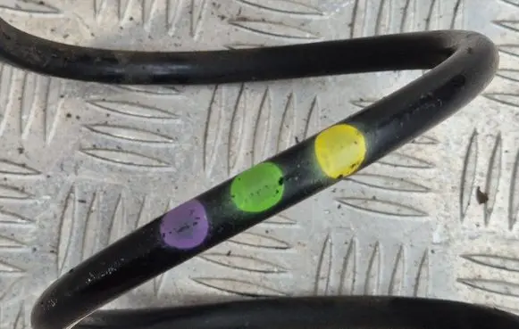 Rear coil spring