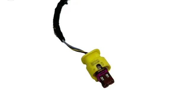 Other wiring loom