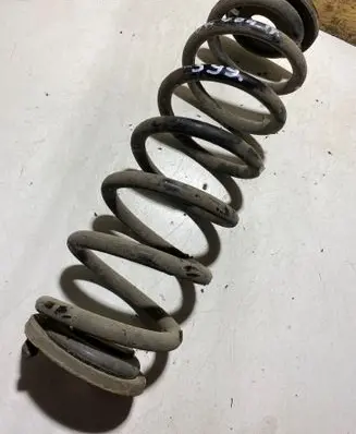 Rear coil spring