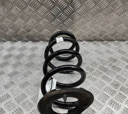 Tesla Model 3 Rear coil spring 104447201E