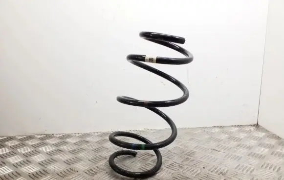 Front coil spring