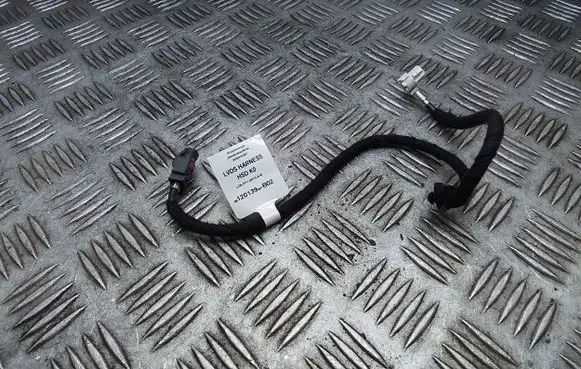 Peugeot Traveller Other wiring loom 9812013980