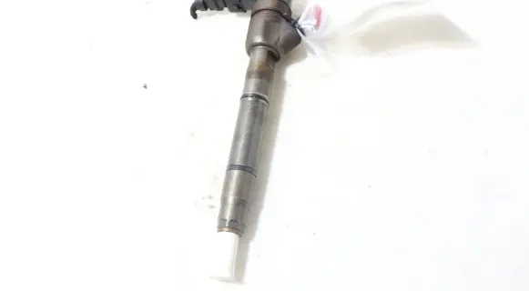 Hyundai i30 Fuel injector 0445110256