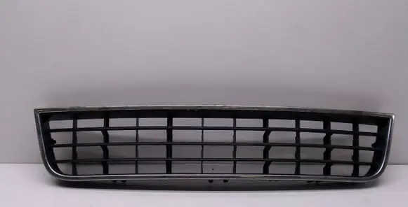 Front bumper lower grill