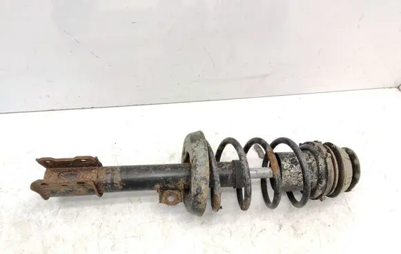 Opel Astra G Front shock absorber with coil spring 206059 5310