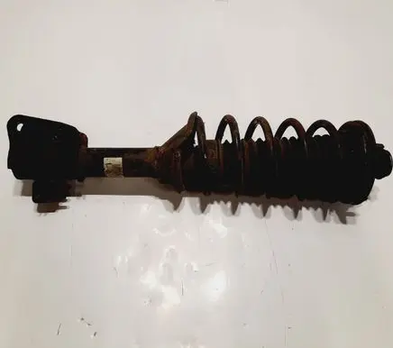 Land Rover Freelander Rear shock absorber with coil spring 22190458L314