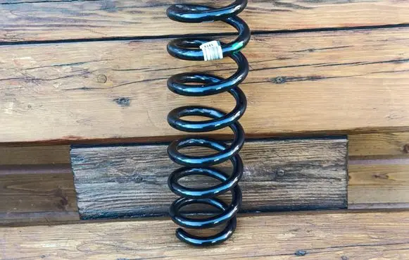 Rear coil spring