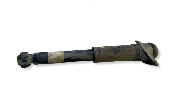 Toyota C-HR I Rear shock absorber/damper 48530F4020