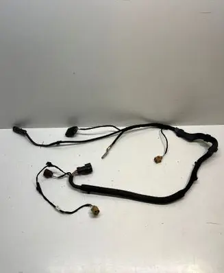 Other wiring loom