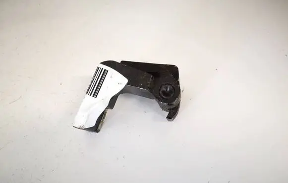 Rear door lower hinge