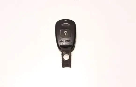 Hyundai Santa Fe Alarm switch 